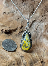 Sterling Silver w/ Bumble Bee Jasper Pendant