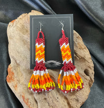 Peyote Stitch/Fringe Dangle Earrings