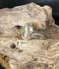 Abalone Ring Size 10.5