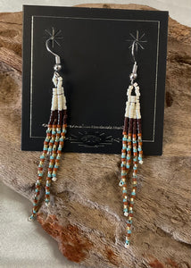 Fringe Dangle Earrings