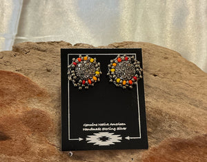 Small Bling Studs/Dangle Earrings