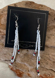 Fringe Dangle Earrings