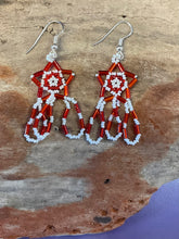 Small Dangle Beaded Earring