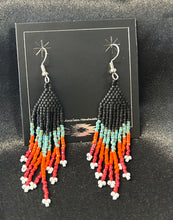 Beaded Dangle Fringe Earrings