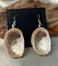 Abalone Shell Earrings