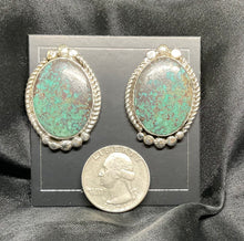 Nevada Green Turquoise Sterling Silver Earrings